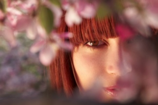 Blossom47